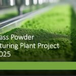 Wheatgrass Powder Manufacturing Plant