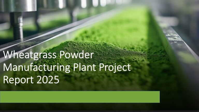 Wheatgrass Powder Manufacturing Plant