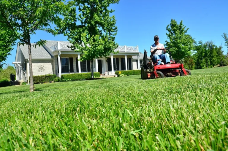Turf Maintenance Service Manhattan