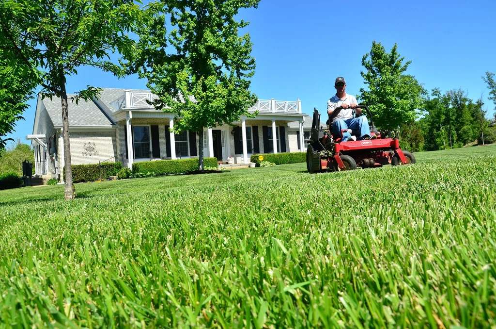 Turf Maintenance Service Manhattan