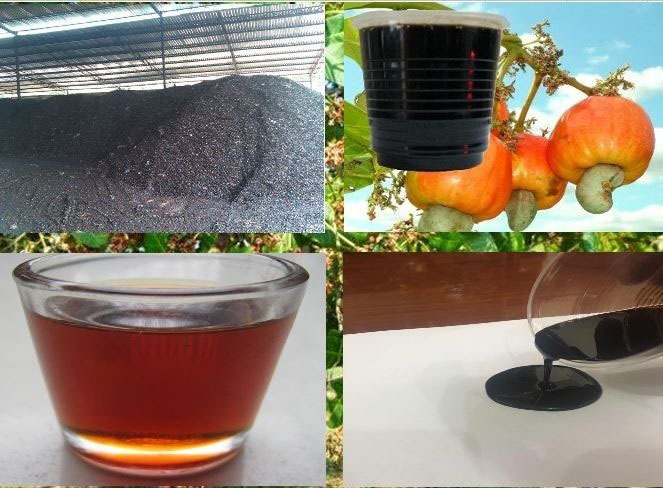 cashew nut shell oil manufacturing