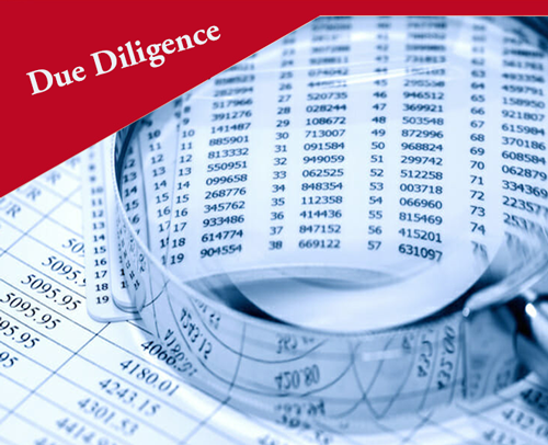 Due Diligence Services