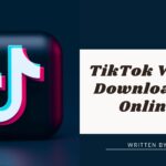 tiktok downloader