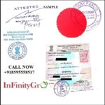 Pcc Apostille Service
