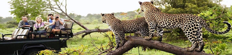 Ranthambore weekend package