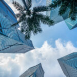 LÉpopée Plumée  Stratégies Gagnantes et Chicken Road avis pour une Chasse au Trésor à 98% de Rendeme