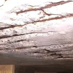 Internal Wall Waterproofing in Visakhapatnam