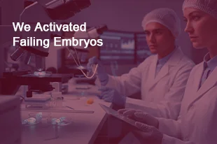 Chennai Ivf Hospital