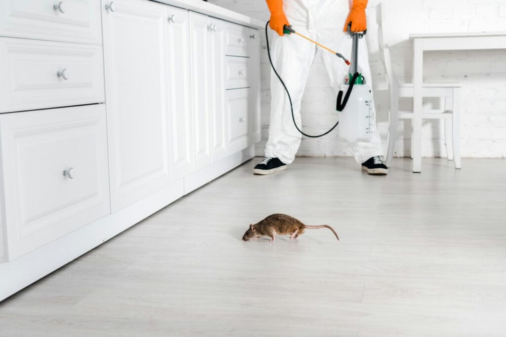 Industrial Pest Control Service in Jaipur