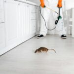 Industrial Pest Control Service in Jaipur