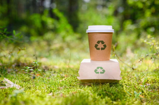 istockphoto-1635663943-612x612