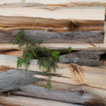 Rough Cedar Lumber