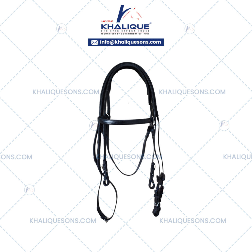 1739364423-bridle-headstall