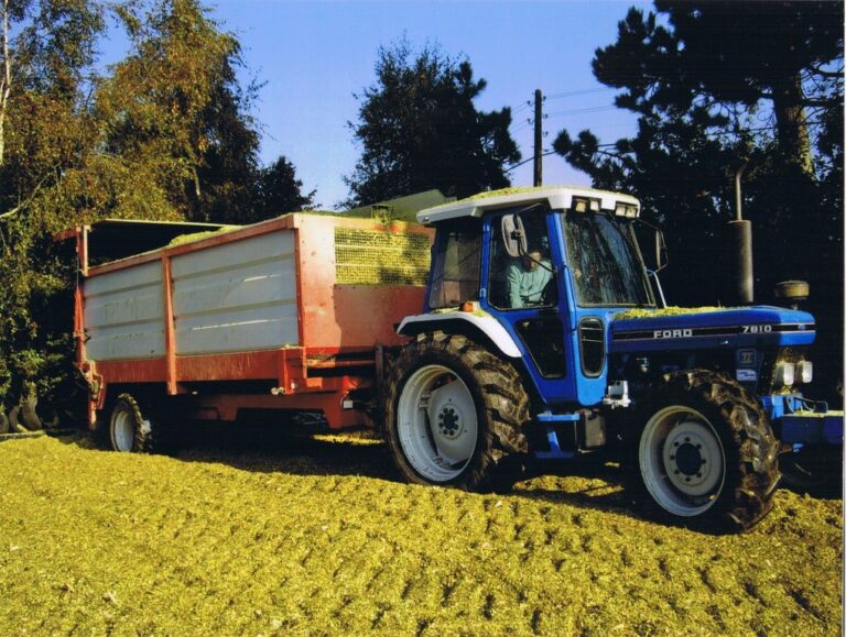 9a28d9e56f2091e1c817995eee5591ee