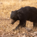 Screenshot 2025-12-05 225748