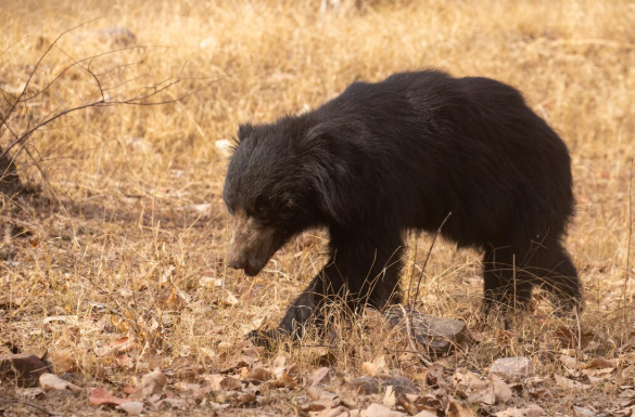 Screenshot 2025-12-05 225748