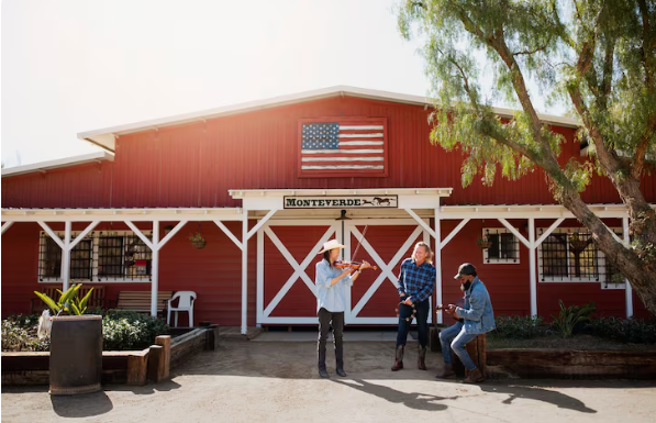 Screenshot 2025-12-06 020435