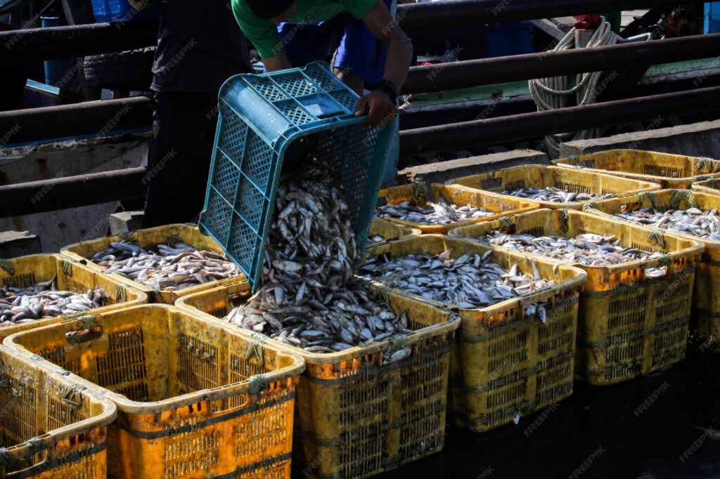 Metal Scrap Suppliers