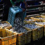 Metal Scrap Suppliers