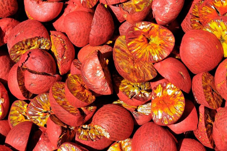 Areca Nut Processing Plant