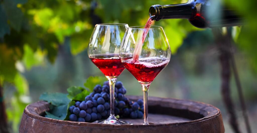 Grapes Wine Manufacturing Plant