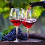 Grapes Wine Manufacturing Plant