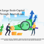 Large-Scale Capital Funding