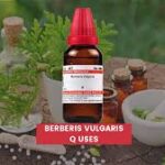berberis vulgaris uses in hindi