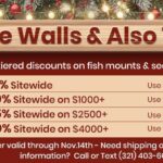 deck-the-walls-fish-mount-pricing