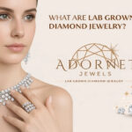 fe69008e-a30d-441f-97c6-4006d5390574