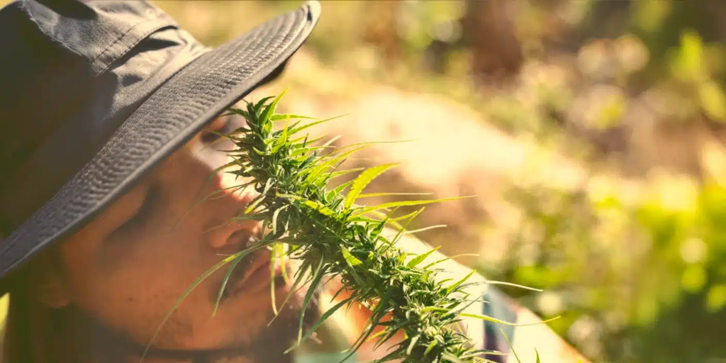 Del Plata Seeds Argentina