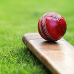 Cricket ball resting on a cricket bat on green grass of cricket pitch