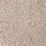 Bouclé Upholstery Fabric