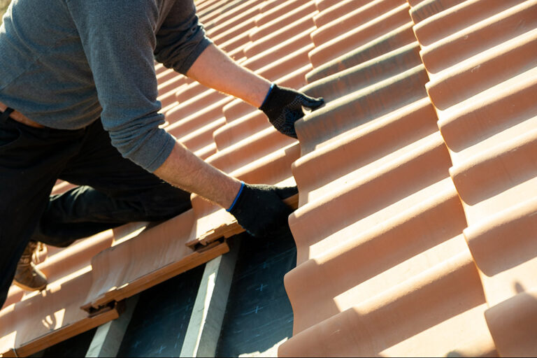 Why You Should Hire a Professional Roofer: Expertise For Your Roof