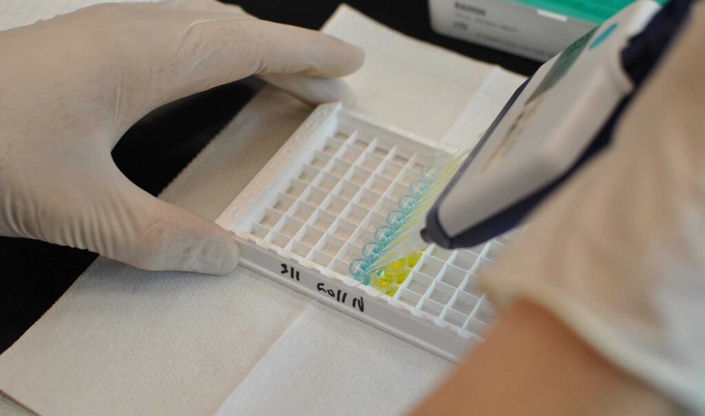 Custom Assay Development