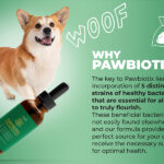 pawbiotix
