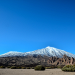 Best Kilimanjaro Tour Companies in 2026