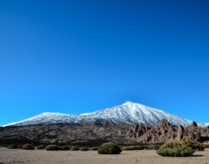 Best Kilimanjaro Tour Companies in 2026