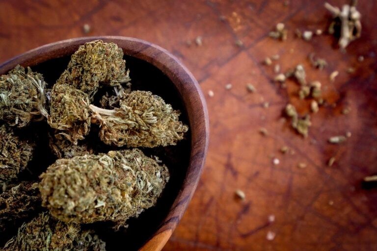 Colorado Breeders Depot