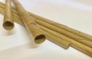 Dry Coconut Leaves Based Biodegradable Straw Manufacturing Plant