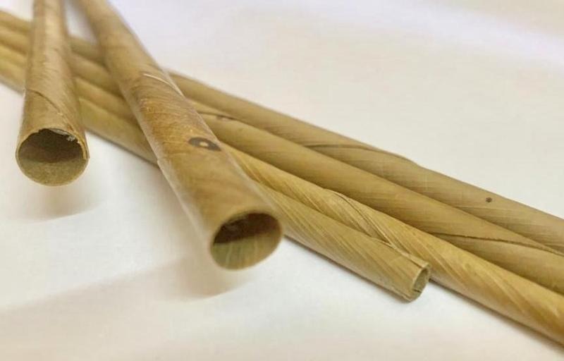 Dry Coconut Leaves Based Biodegradable Straw Manufacturing Plant