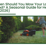 Person mowing a residential lawn in Auckland garden demonstrating seasonal lawn mowing maintenance for healthy grass