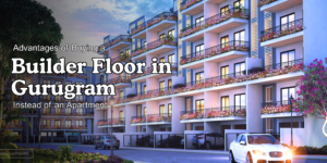 builder floor in Gurugram