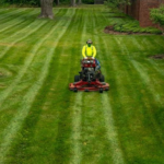 Screenshot 2026-02-14 205733