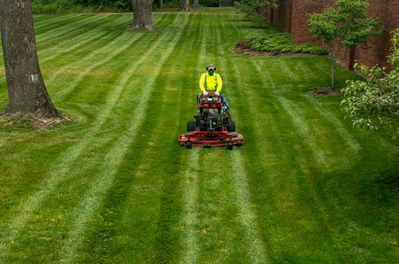 Screenshot 2026-02-14 205733