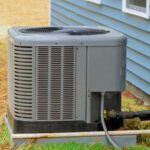 WhatsApp Image 2026-02-13 at 3.30.17 PM (3)