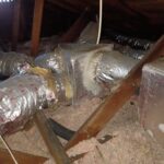 WhatsApp Image 2026-02-13 at 3.30.18 PM (2)