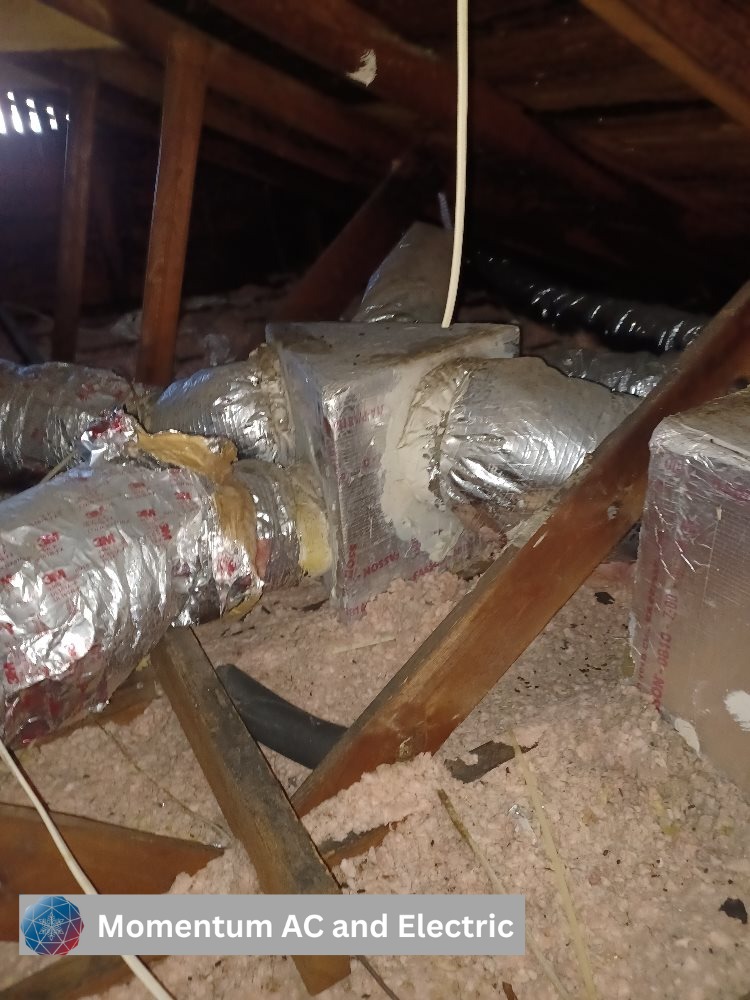 WhatsApp Image 2026-02-13 at 3.30.18 PM (2)