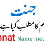 জান্নাত নামের অর্থ কি