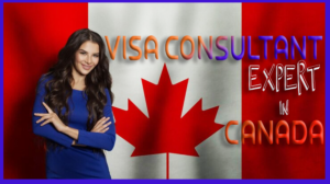 expert visa consultant